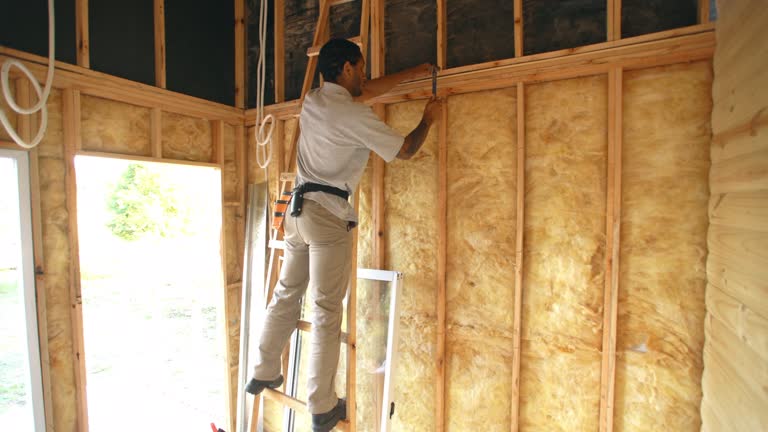 Types of Insulation We Offer in Johnstonville, CA